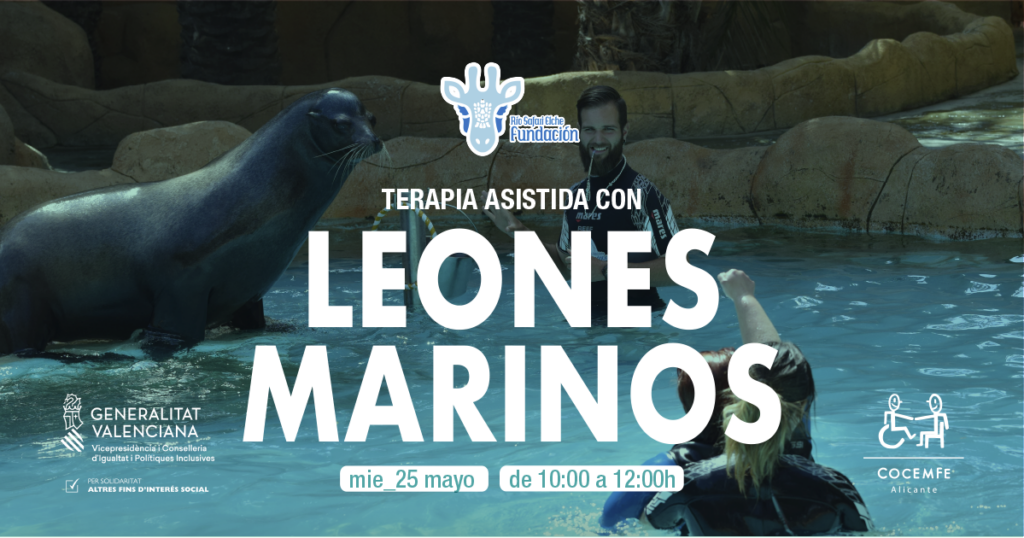 Nueva actividad de ocio: Terapia asistida con leones marinos, organizada por Cocemfe Alicante